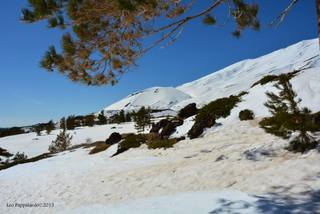 Monte Conca